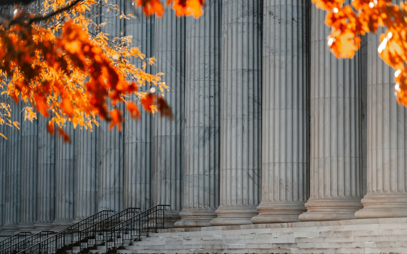 Courthouse steps and stone columns framed by autumn leaves