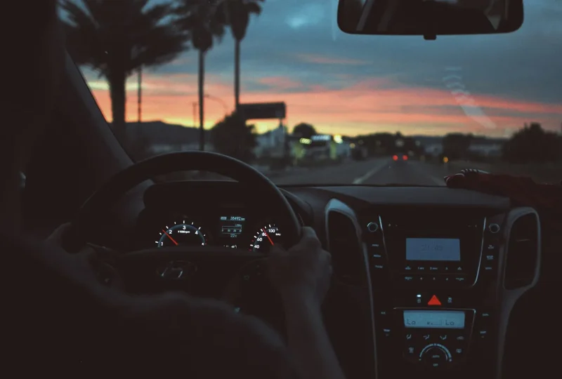 Driver’s view over a steering wheel of a palm-lined road at dusk