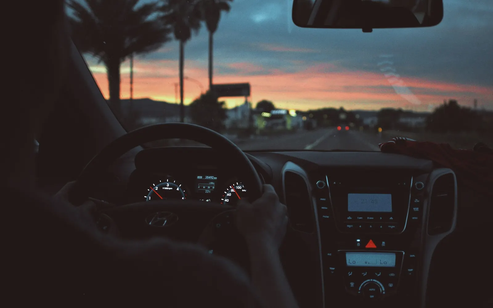 Driver’s view over a steering wheel of a palm-lined road at dusk